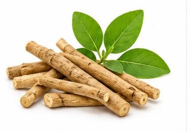 Ashwagandha illustration