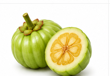 Garcinia Cambogia illustration