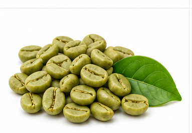 Green Coffee illustration