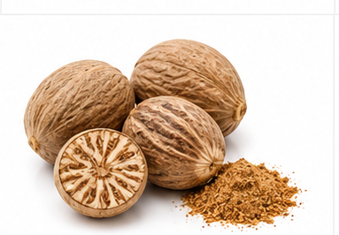 Nutmeg illustration