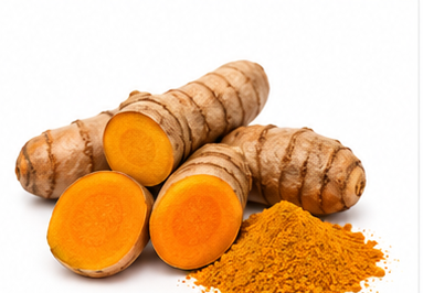 Turmeric illustration